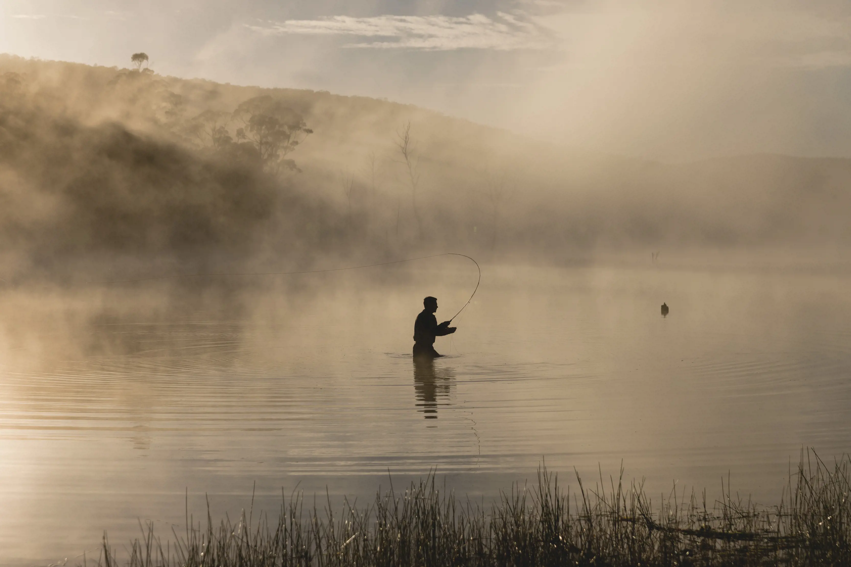 Fly fishing