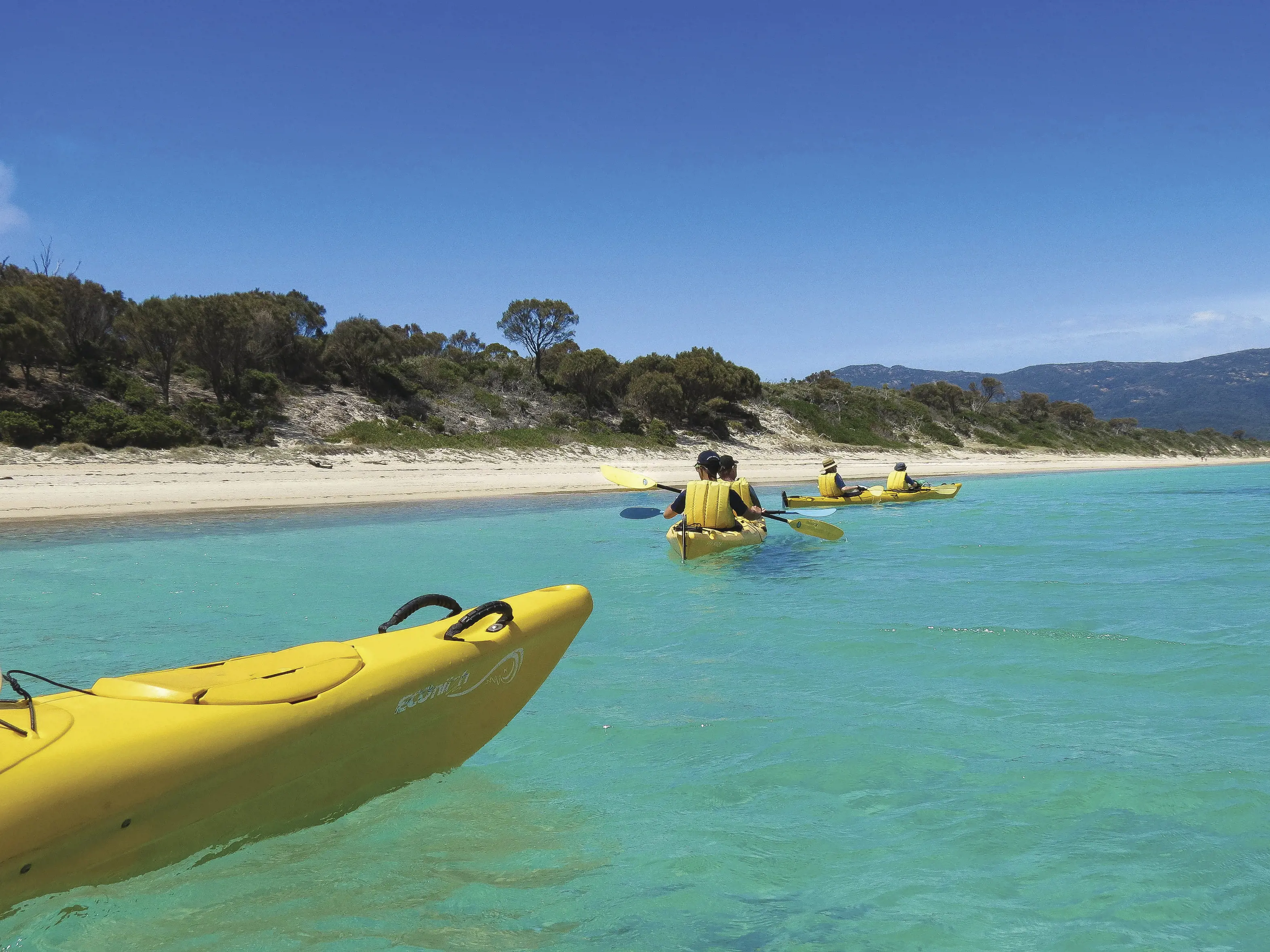 Freycinet Adventures take people paddle boarding across a Hazards Beach. 