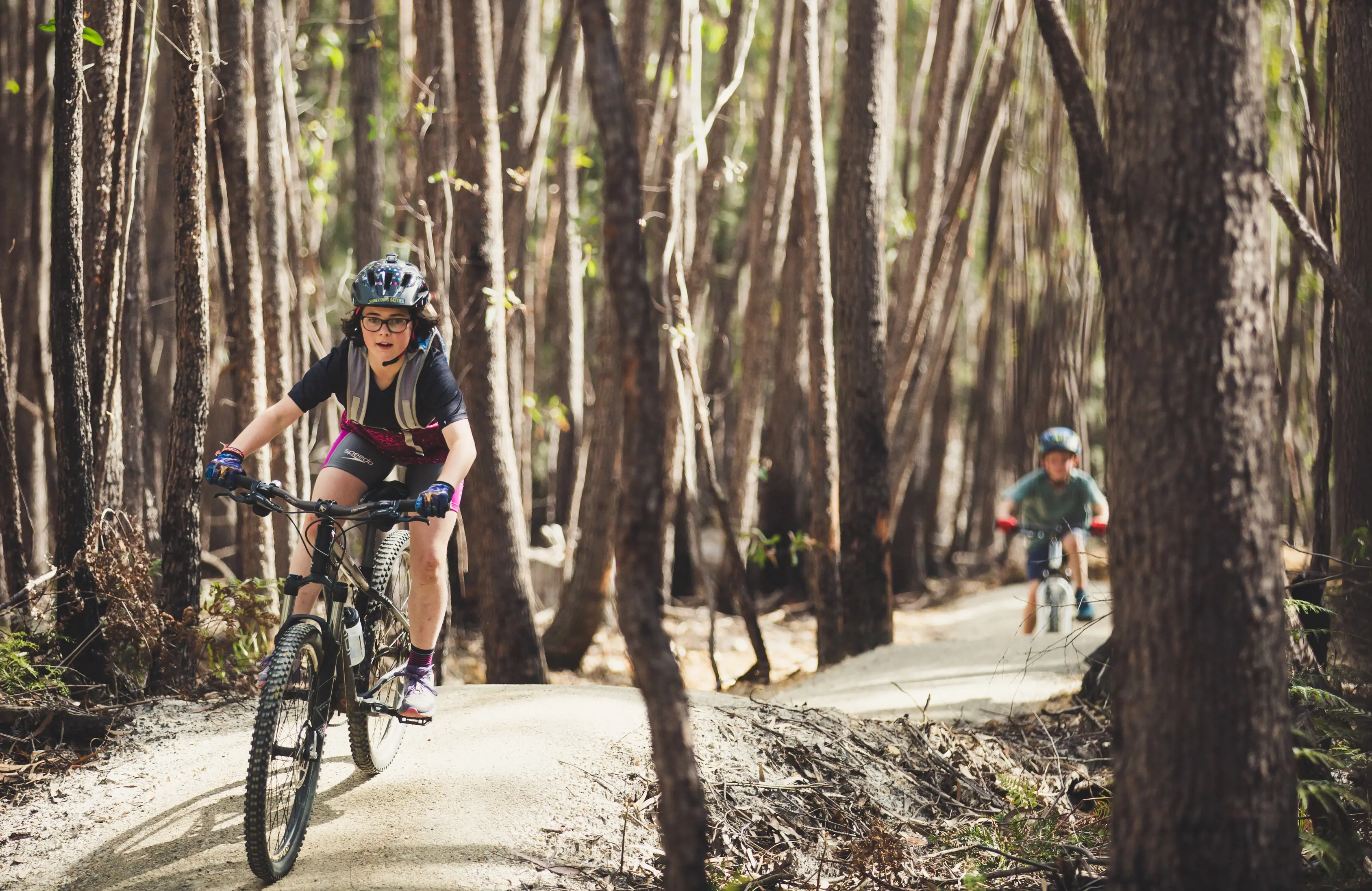 Two people on mountain bikes, riding through dense forest on the St Helens Mountain Bike Trails.