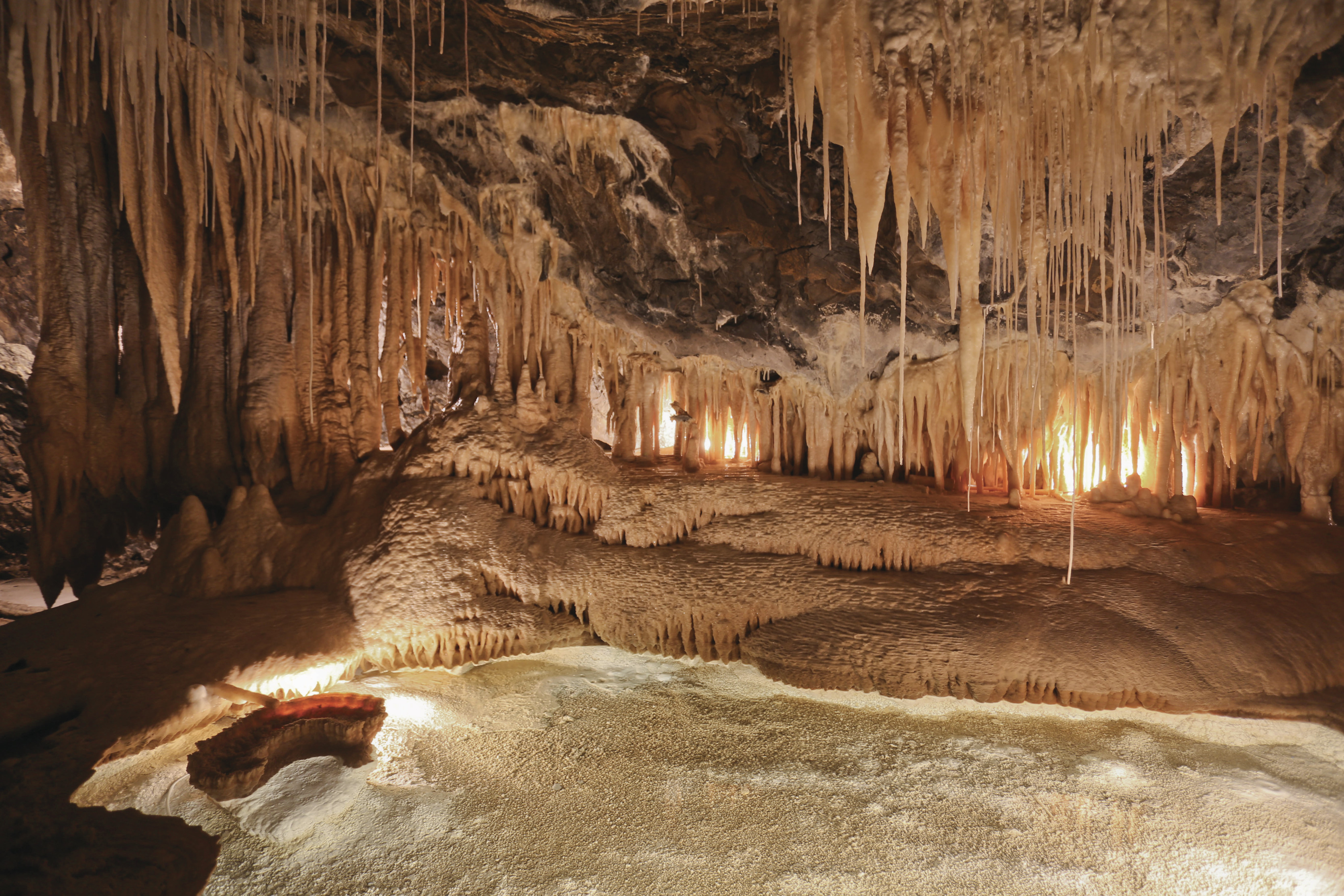 Clay-like shards hanging from the roof of the caves in Mole Creek Caves. 