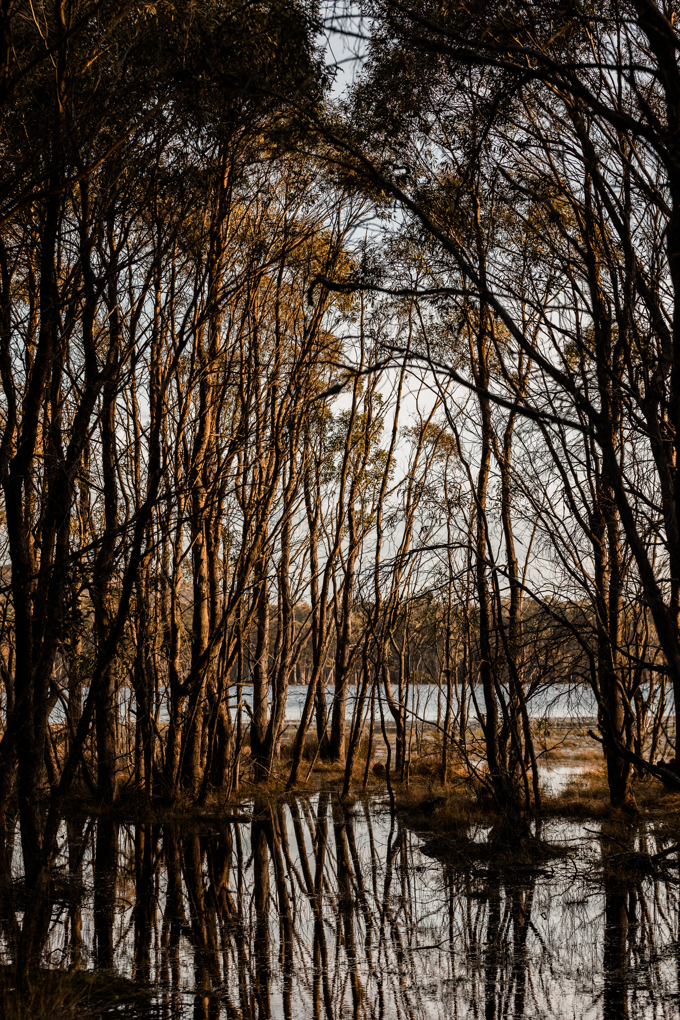 Penstock Lagoon 