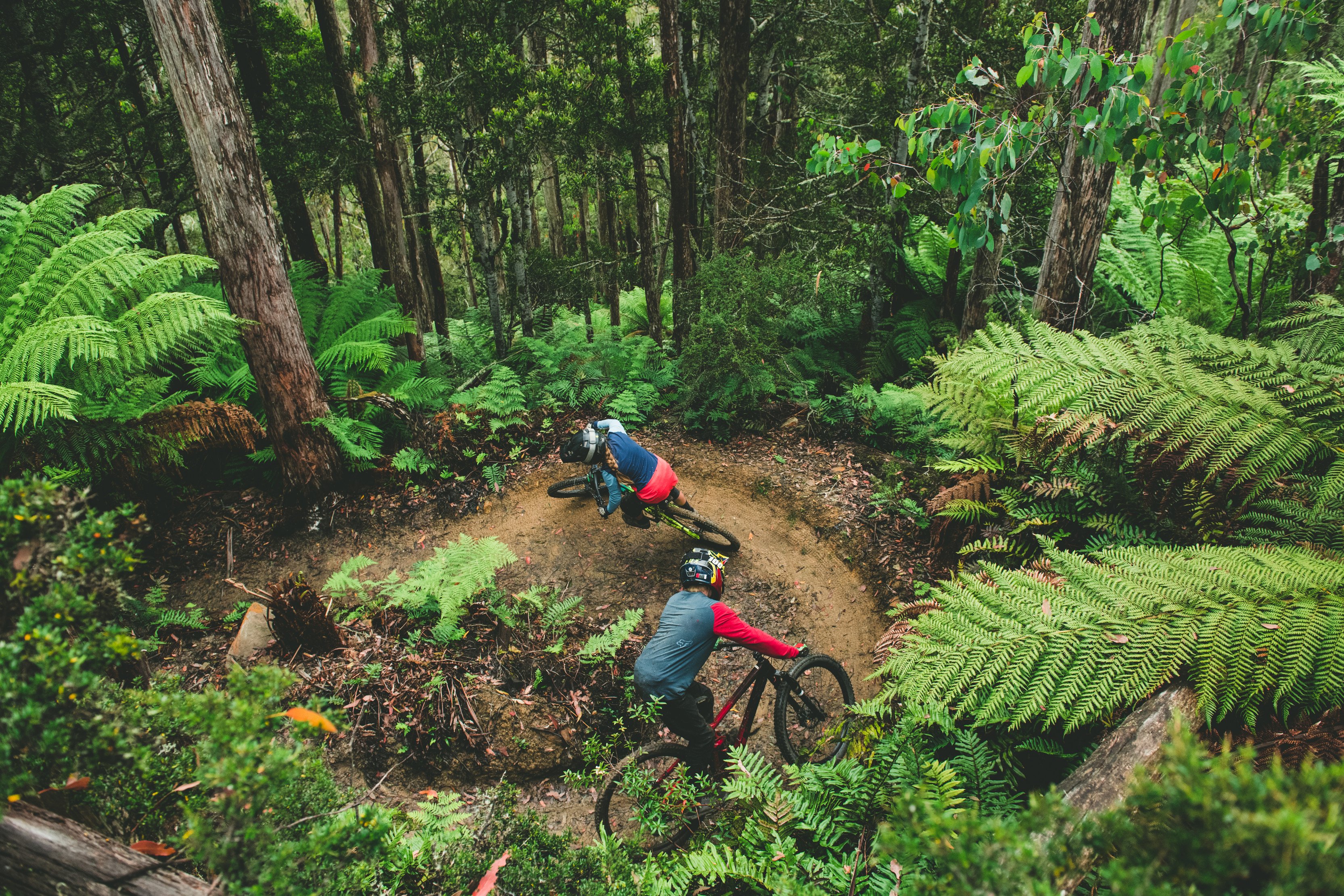 Maydena Bike Park