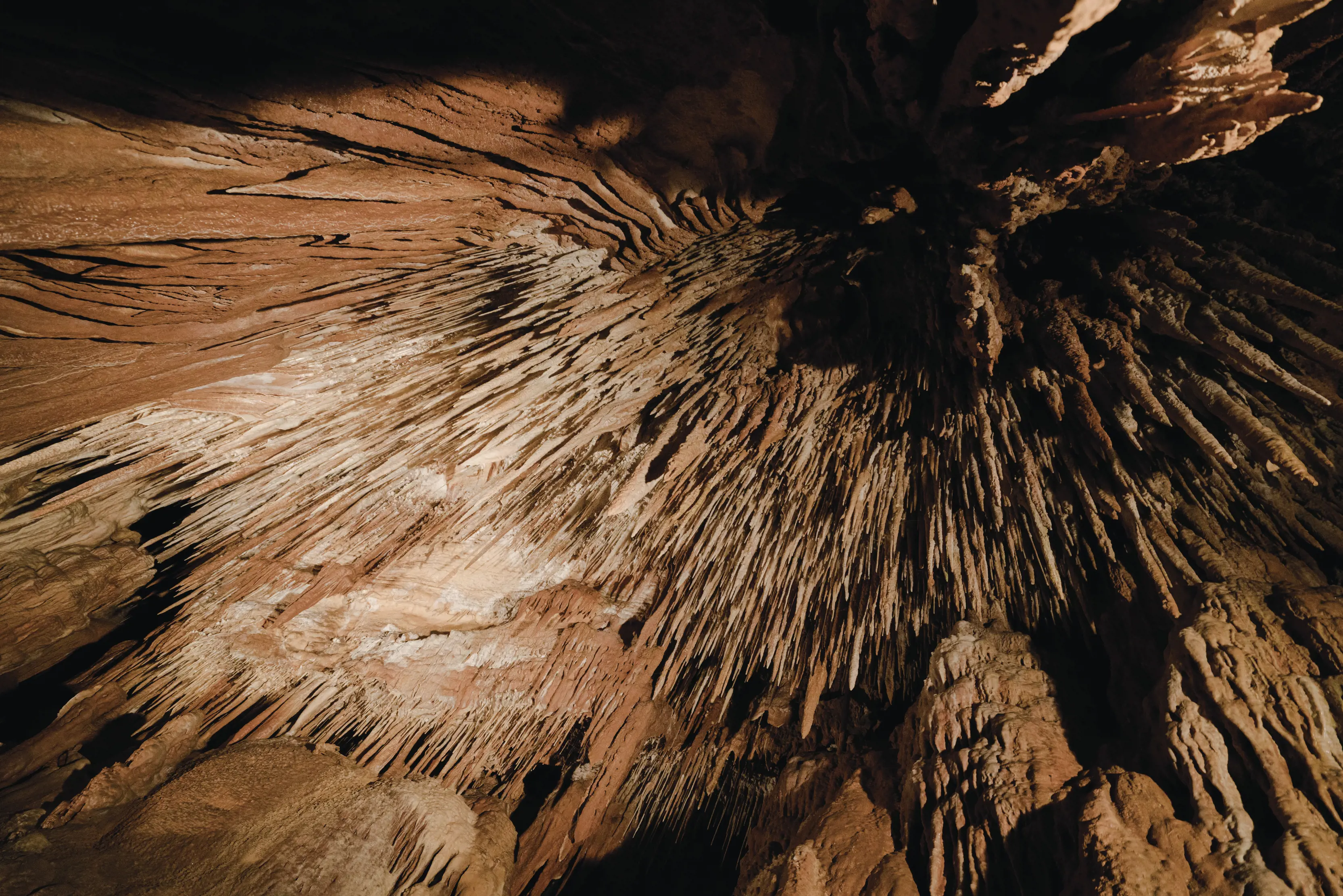 Incredible and Dramatic image of Mole Creek Caves, looking straight up at the long stalagmites.