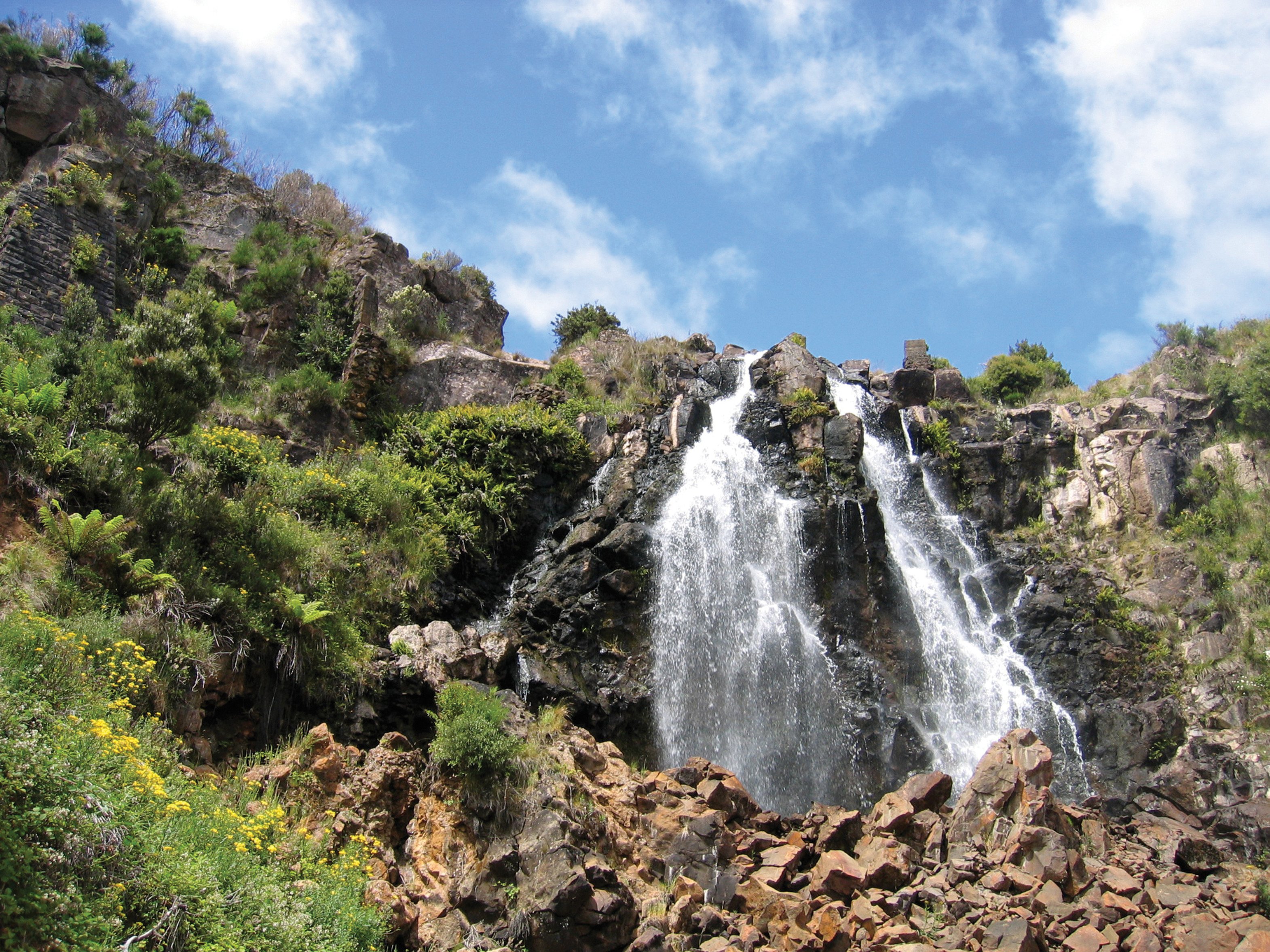 Waratah Falls