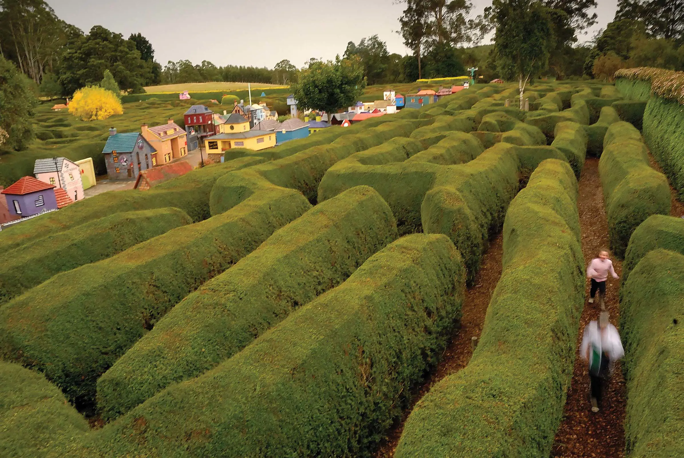 Neatly manicured, undulating hedges form the Tazmazia maze, with two kids running through it. In the background, small colourful model buildings resemble a whimsical miniature village.