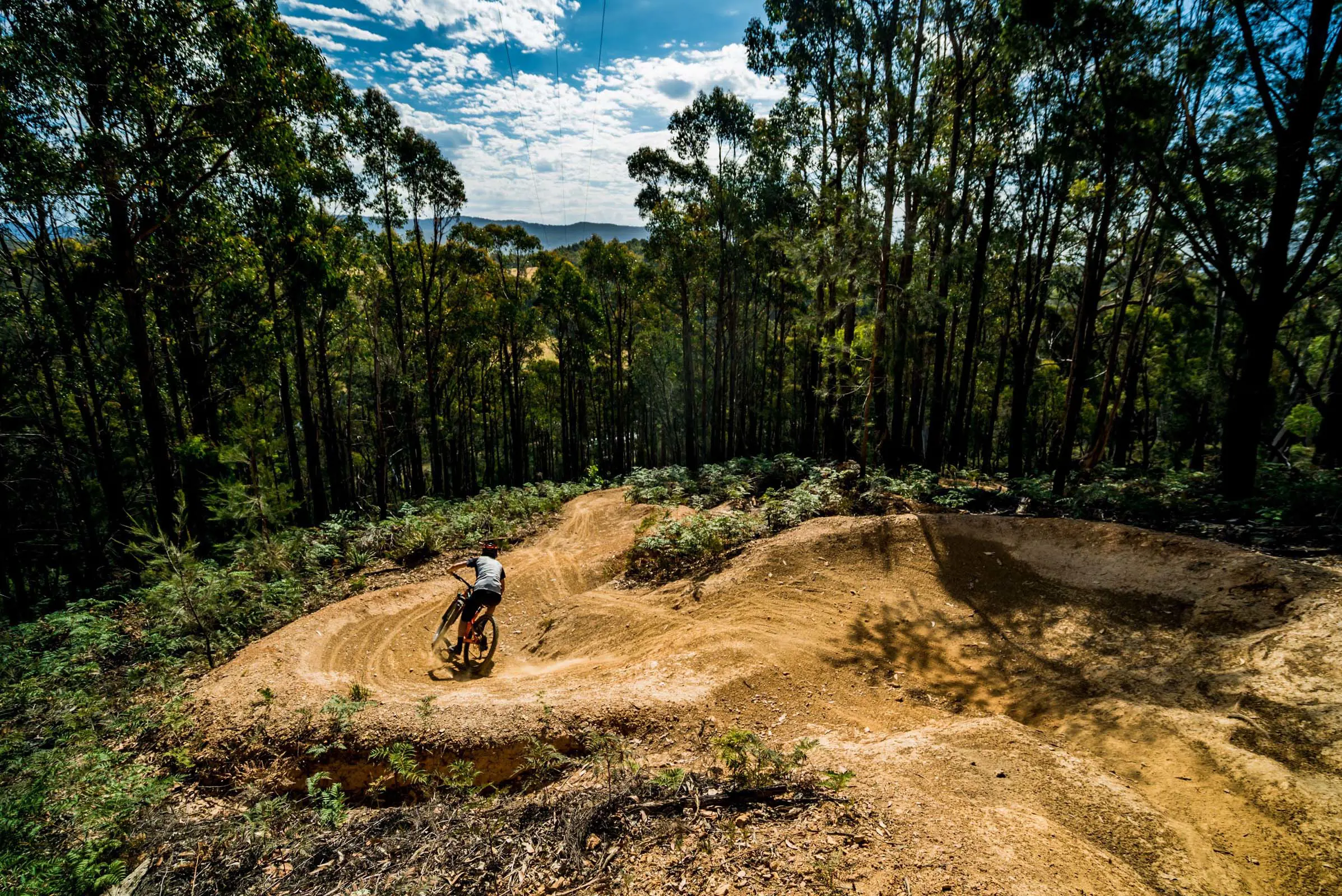 A person on a mountain bike rides down a snaking dirt path weaving its way between tall trees.