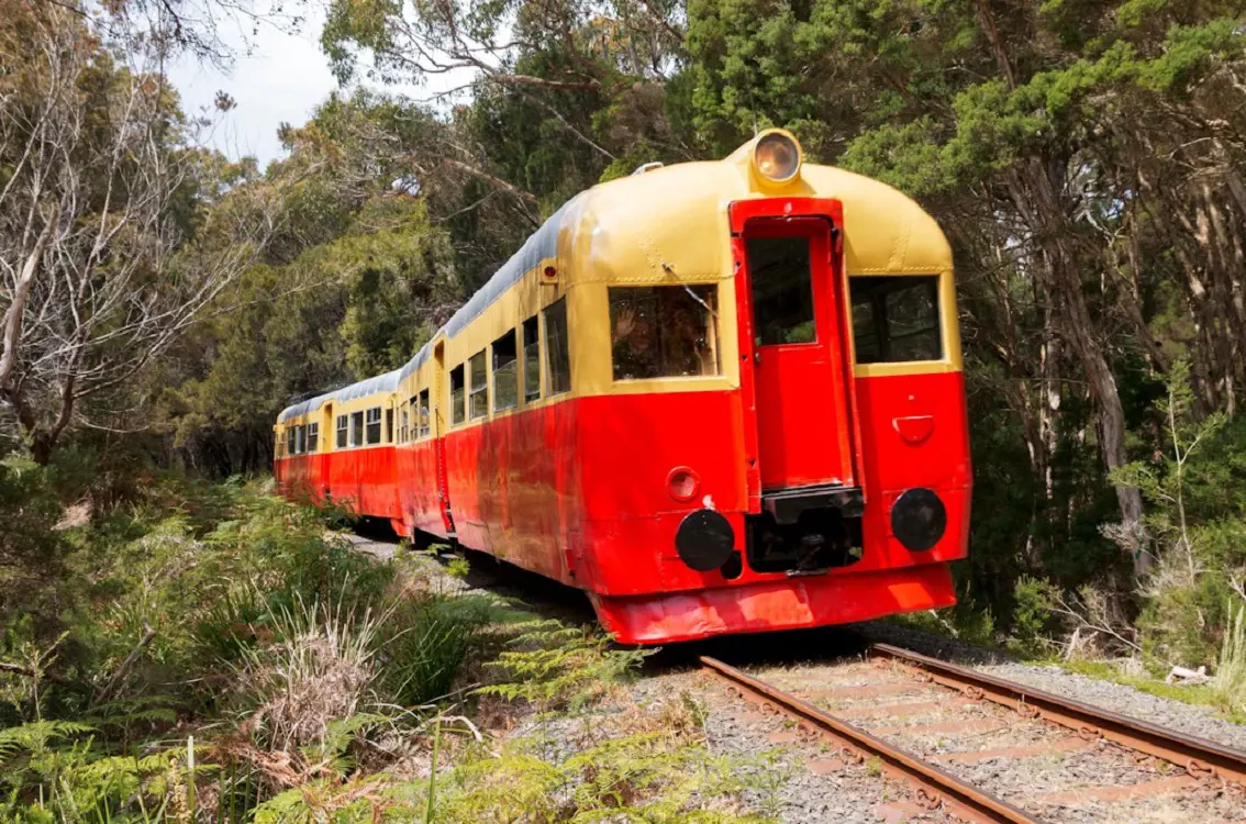 A vintage red and yellow train carriage moving along train tracks through light bush.