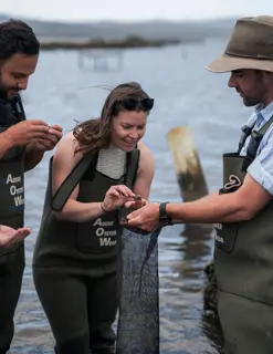 A young couple wearing waterproof waders stand in knee high water and sample oysters served by a tour guide.