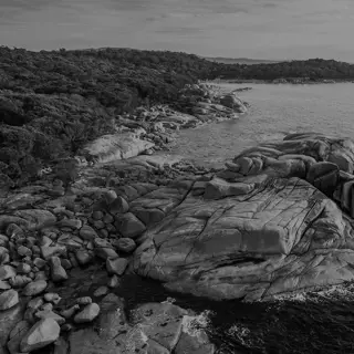 Wine glasses, wombats and wild coastlines